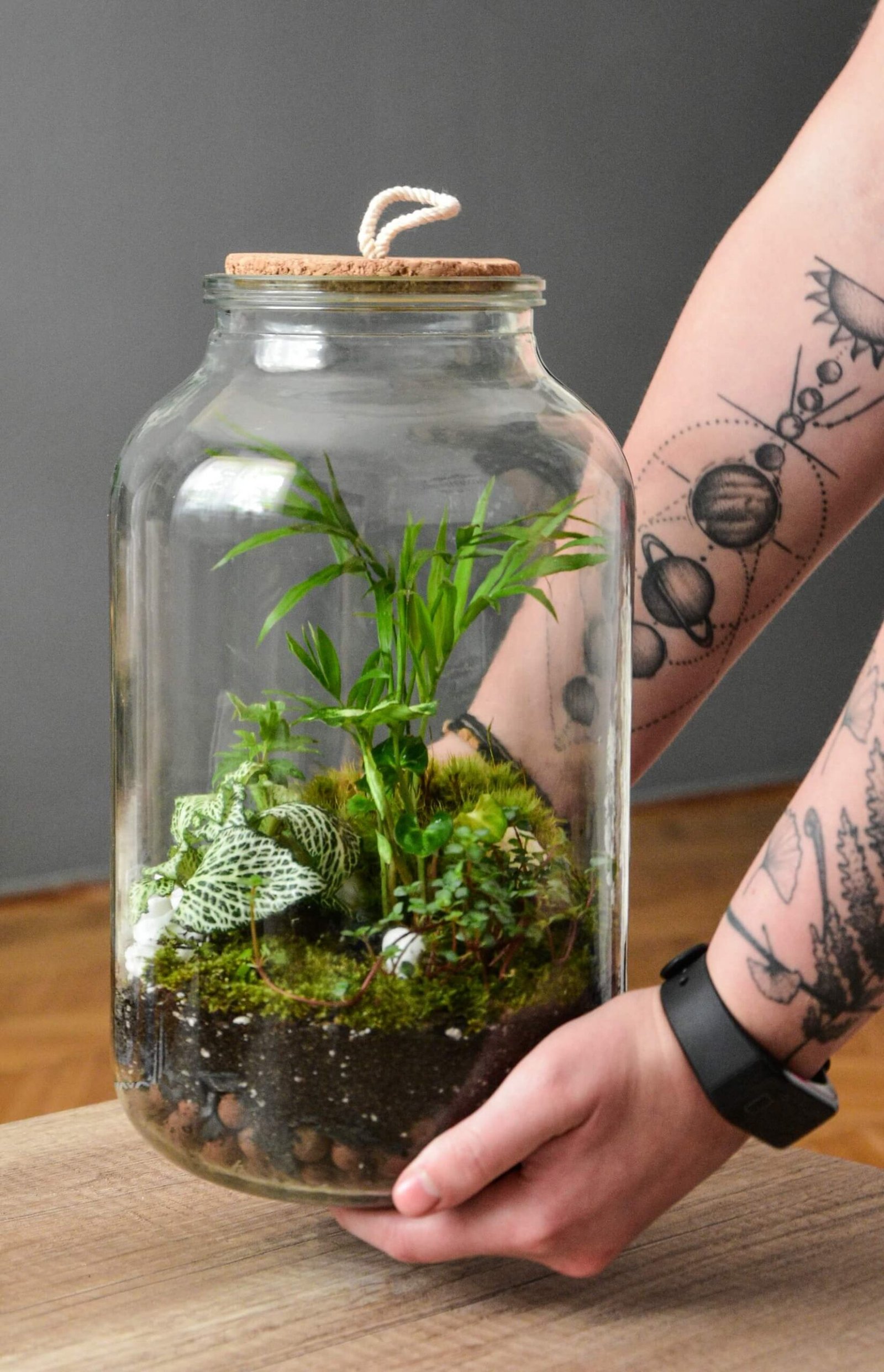 terrarium de plantes automne
