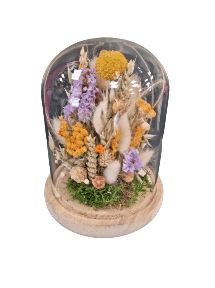 received_451442740066969-removebg-preview-2 composition DIY de fleurs séchée sous cloche