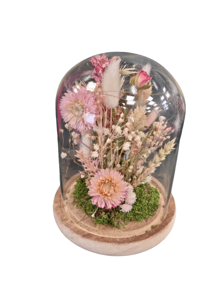 received_735096500789264-removebg-preview-2 composition DIY de fleurs séchée sous cloche